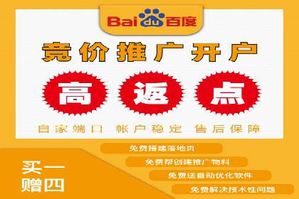 百度竞价代理的投放技巧与效果评估案例